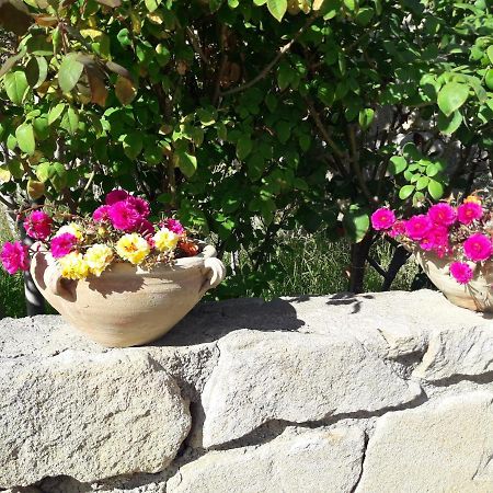 Villa Fumarola 불카노 외부 사진